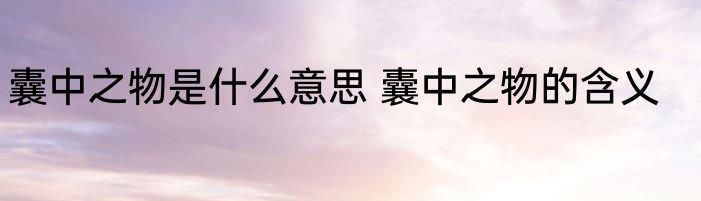 囊中之物是什么意思 囊中之物的含义