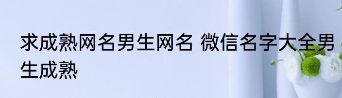 求成熟网名男生网名 微信名字大全男生成熟