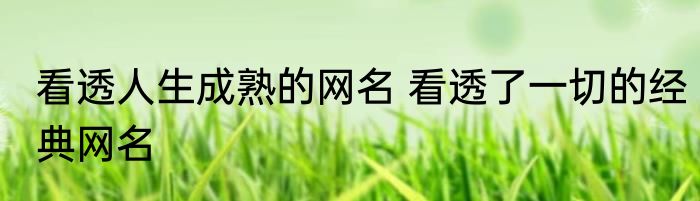看透人生成熟的网名 看透了一切的经典网名