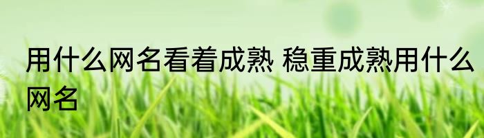 用什么网名看着成熟 稳重成熟用什么网名