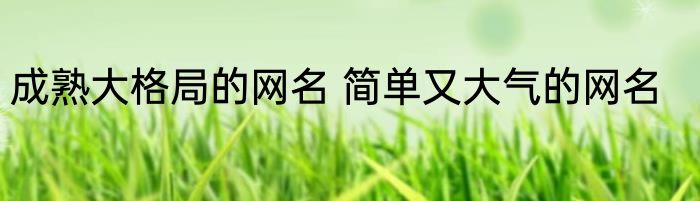 成熟大格局的网名 简单又大气的网名