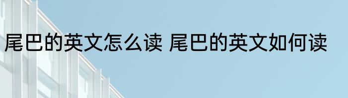 尾巴的英文怎么读 尾巴的英文如何读