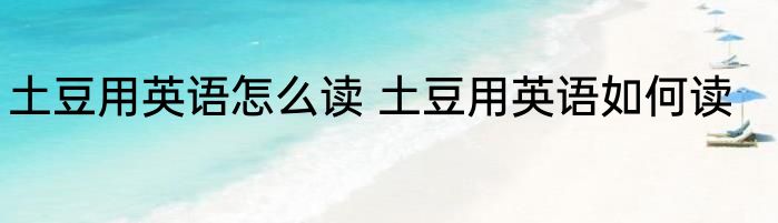 土豆用英语怎么读 土豆用英语如何读