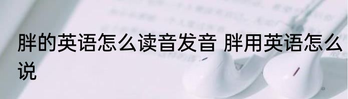 胖的英语怎么读音发音 胖用英语怎么说