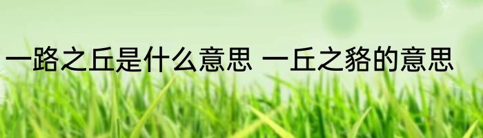 一路之丘是什么意思 一丘之貉的意思