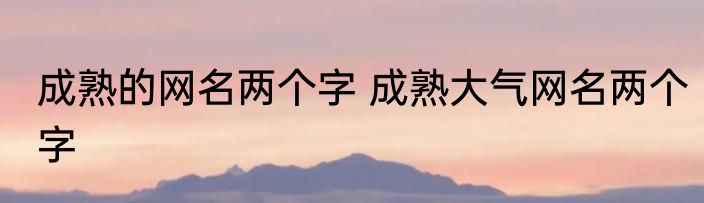 成熟的网名两个字 成熟大气网名两个字