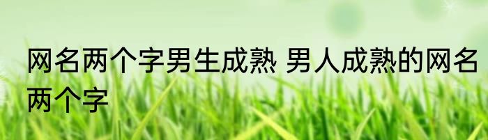 网名两个字男生成熟 男人成熟的网名两个字