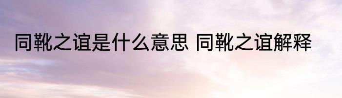 同靴之谊是什么意思 同靴之谊解释