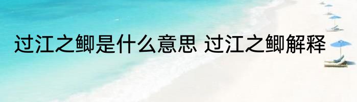 过江之鲫是什么意思 过江之鲫解释