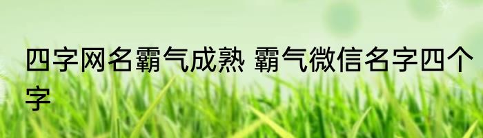 四字网名霸气成熟 霸气微信名字四个字