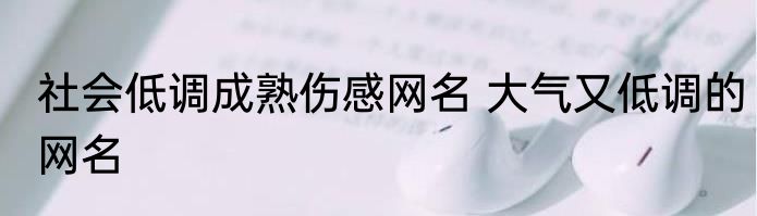 社会低调成熟伤感网名 大气又低调的网名