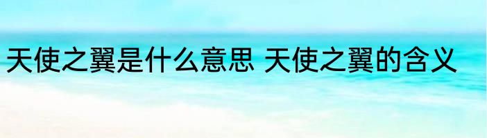 天使之翼是什么意思 天使之翼的含义