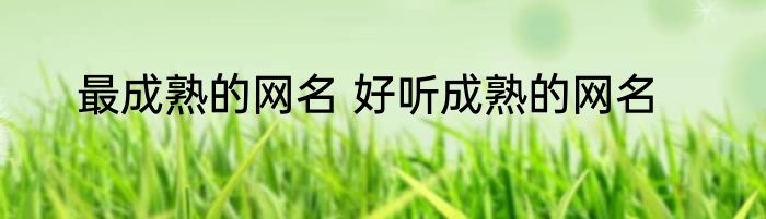 最成熟的网名 好听成熟的网名