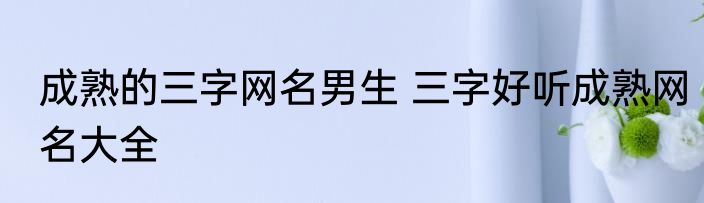 成熟的三字网名男生 三字好听成熟网名大全