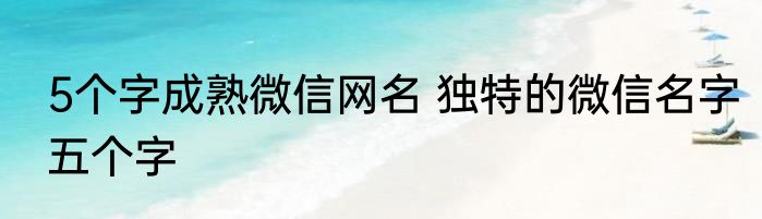 5个字成熟微信网名 独特的微信名字五个字