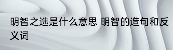 明智之选是什么意思 明智的造句和反义词