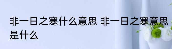 非一日之寒什么意思 非一日之寒意思是什么