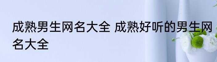 成熟男生网名大全 成熟好听的男生网名大全