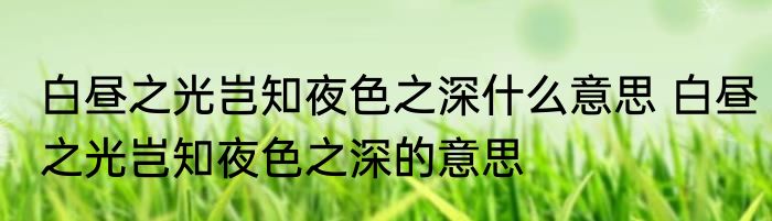 白昼之光岂知夜色之深什么意思 白昼之光岂知夜色之深的意思