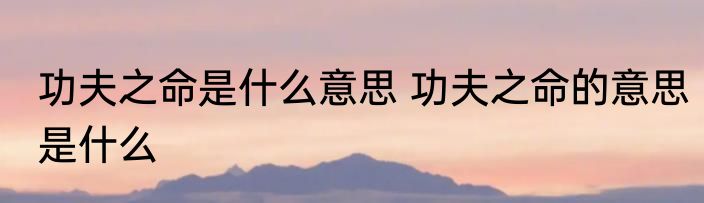 功夫之命是什么意思 功夫之命的意思是什么