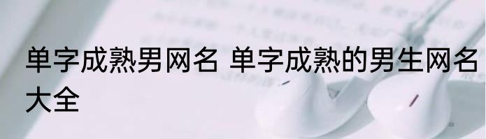单字成熟男网名 单字成熟的男生网名大全