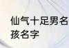 仙气十足男名 仙气十足的古风名字男孩名字