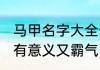 马甲名字大全霸气十足 什么马甲好听有意义又霸气