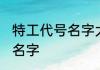 特工代号名字大全霸气 关于特工代号名字