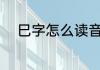 巳字怎么读音是什么 巳字的意思
