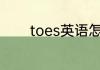 toes英语怎么读 toes的意思