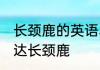 长颈鹿的英语单词怎么读 如何英语表达长颈鹿