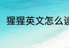 猩猩英文怎么读 如何英语表达猩猩