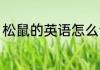 松鼠的英语怎么读 如何英语表达松鼠