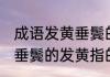 成语发黄垂鬓的发黄指的是 成语发黄垂鬓的发黄指的是哪个