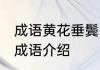 成语黄花垂鬓中黄花指的是 黄花垂鬓成语介绍