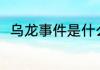 乌龙事件是什么意思 乌龙事件解释
