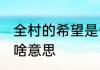 全村的希望是什么意思 全村的希望是啥意思