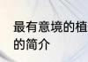最有意境的植物名 最有意境的植物名的简介