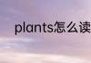 plants怎么读 英语plants怎么读