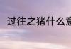 过往之猪什么意思 过往之猪的意思