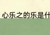 心乐之的乐是什么意思 心乐之的出处