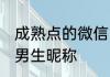 成熟点的微信网名男生网名 不张扬的男生昵称