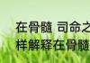 在骨髓 司命之所属的属什么意思 怎样解释在骨髓 司命之所属的属