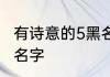 有诗意的5黑名字大全 好听诗意的5黑名字