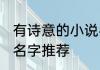 有诗意的小说名字大全 有诗意的小说名字推荐
