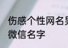 伤感个性网名男生心碎 男生伤感心碎微信名字