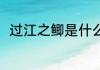 过江之鲫是什么意思 过江之鲫解释