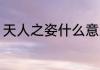天人之姿什么意思 天人之姿是指什么