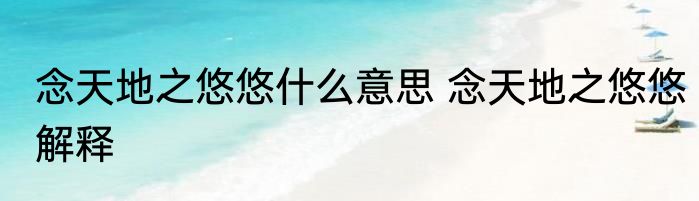 念天地之悠悠什么意思 念天地之悠悠解释