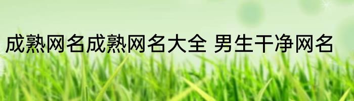 成熟网名成熟网名大全 男生干净网名